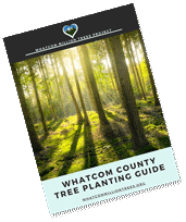 Whatcom County Tree Planting Guide