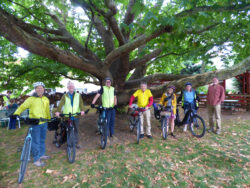 credit: Jacob O'Donnell