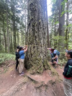 credit: Jazmen Yoder