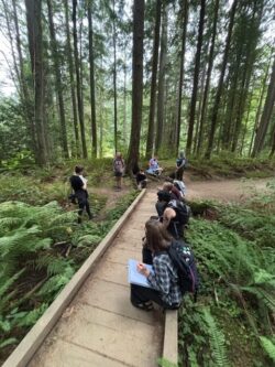 credit: Sarah Murphy-Kangas